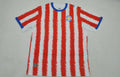 Maillot de football Paraguay Coupe du Monde 2026